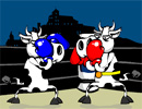 Коровий бокс