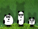 Три панды