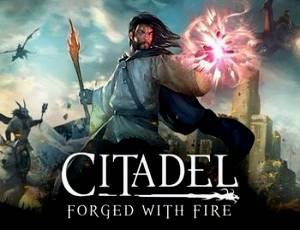 Citadel: Forged with Fire