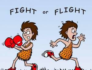 Flight for Fight