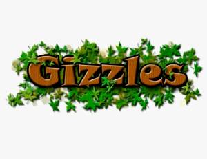 Gizzles