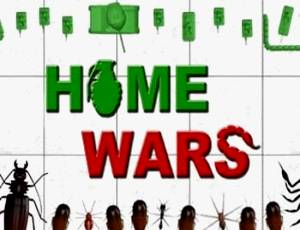 Home Wars