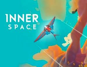 InnerSpace