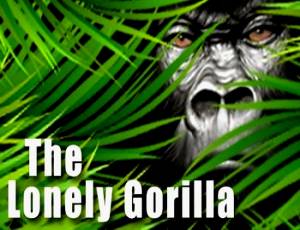 The Lonely Gorilla