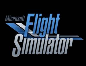 Microsoft Flight Simulator