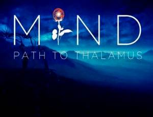 MIND: Path to Thalamus