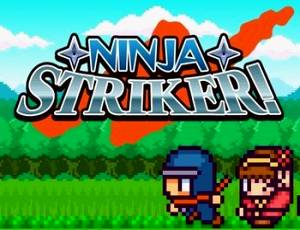 Ninja Striker!