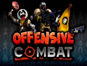 Offensive Combat