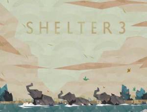 Shelter 3