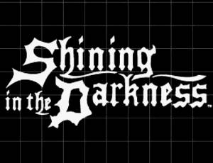 Shining In The Darkness
