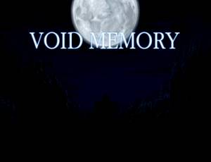 Void Memory