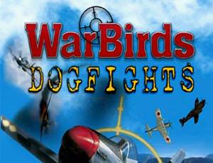 WarBird Dogfights