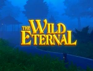 The Wild Eternal