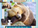 Скриншот номер 2 из игры 1001 Пазл. Планета Земля - 2