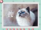 Скриншот номер 3 из игры 1001 пазл. Милые коты 2