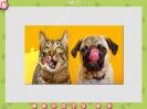 Скриншот номер 1 из игры 1001 пазл. Милые коты 3