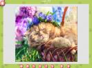 Скриншот номер 3 из игры 1001 пазл. Милые коты 3