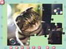 Скриншот номер 1 из игры 1001 пазл. Милые коты