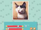 Скриншот номер 3 из игры 1001 пазл. Милые коты