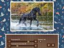 Скриншот номер 1 из игры 1001 пазл. Планета Земля 9