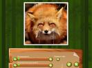 Скриншот номер 1 из игры 1001 пазл. Дикие животные