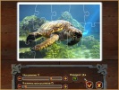 Скриншот номер 3 из игры Карибский пазл