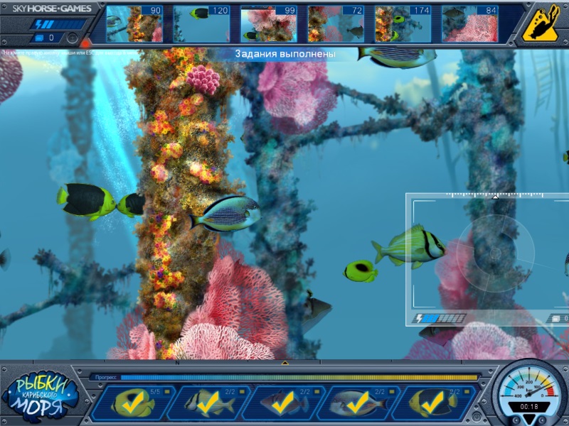 Игры на 2 есть рыбок. Рыбки Карибского моря игра. Игра про девочку и рыбку. Игра про магазин рыбок. Игра про рыб 2000.