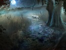 Скриншот номер 1 из игры Дрожь 3. Души леса